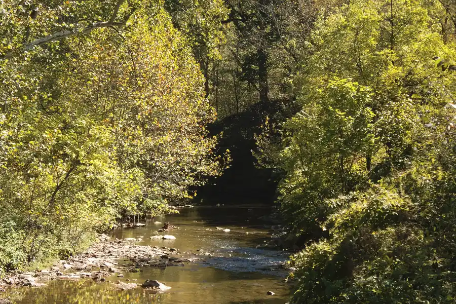 Autumn leaves overhanging Montour Run, a rocky creek in Moon Township near Carnot-Moon, Pennsylvania